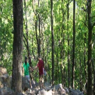 Camping Ground - 9 Tents - In Dhanuli, Nainital, Nainital 5